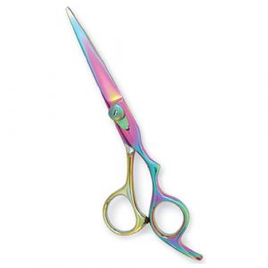 Professional Hair Cutting Scissor