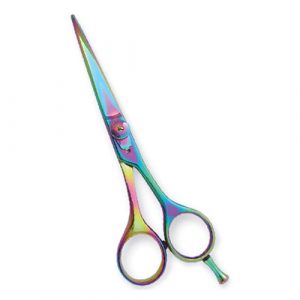 Professional Hair Cutting Scissor